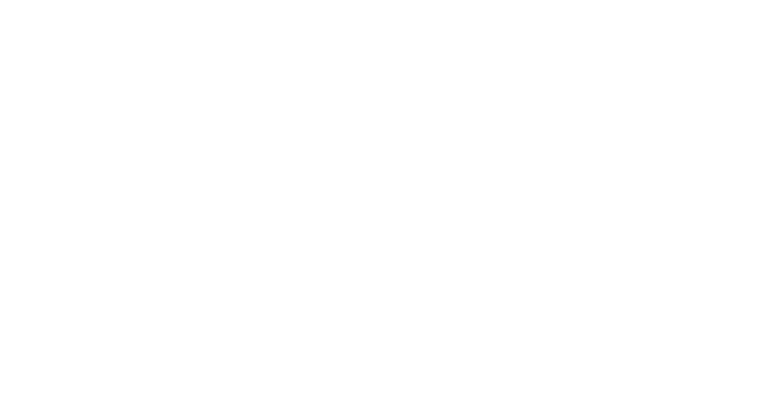 the cronicle journal