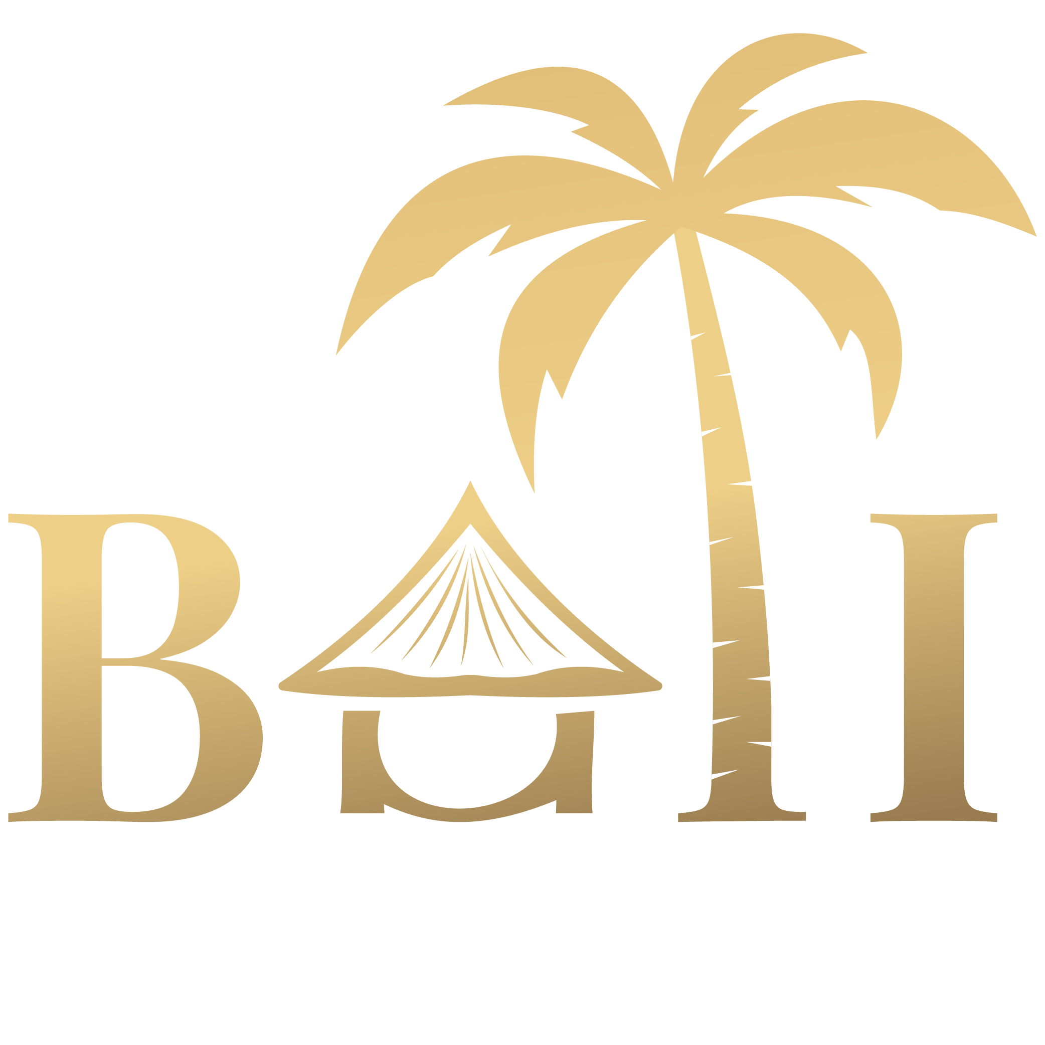 big-logo-juaraproduction