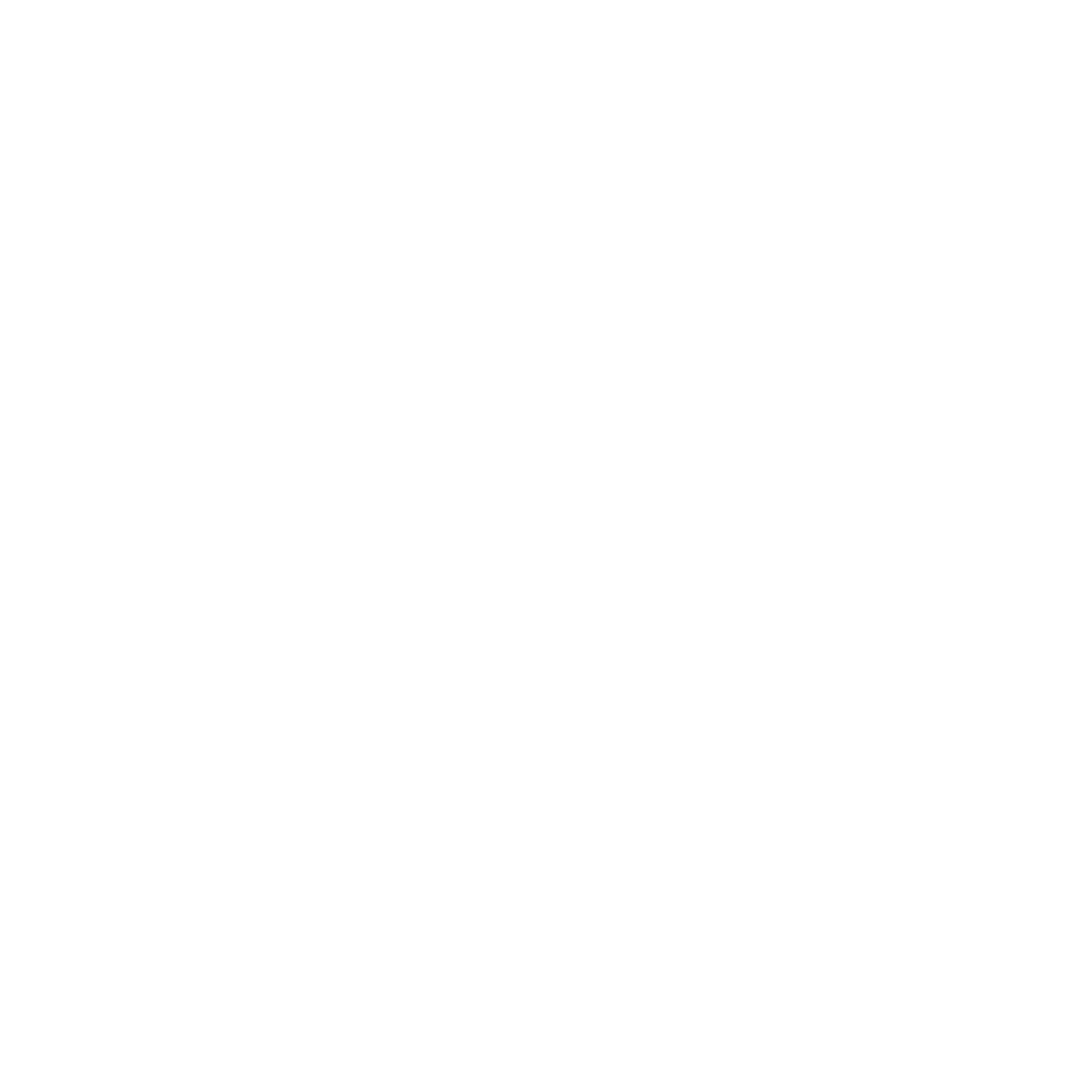 BPV Logo