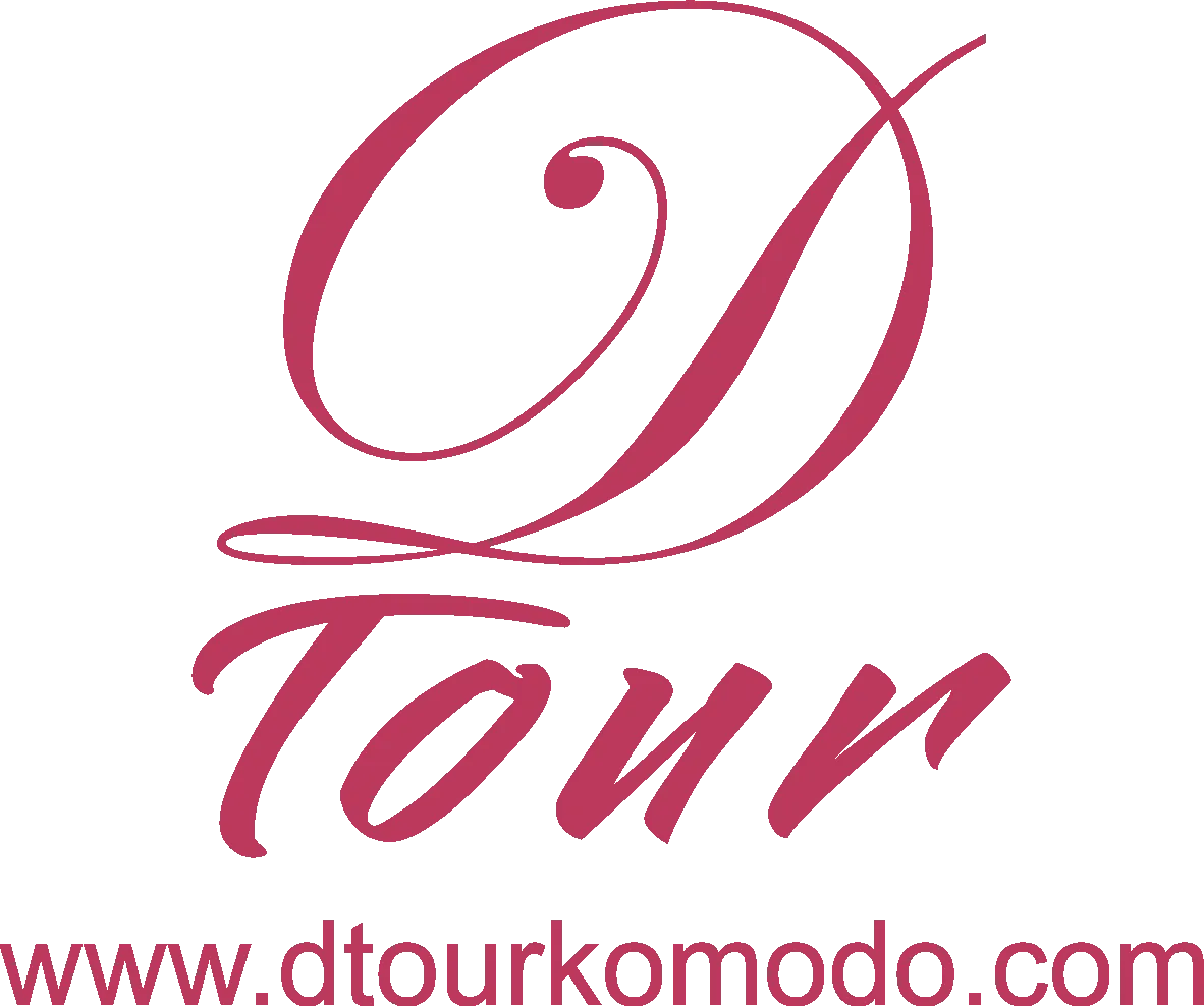 Logo D Tour | Juara Production