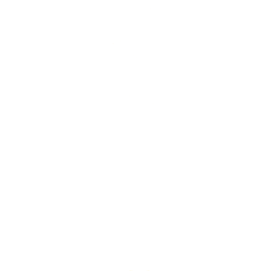 Local WP Logo