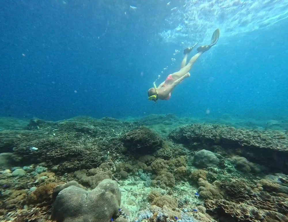 Snorkeling in Nusa Penida | Underwater Photography in Bali | Juara Production
