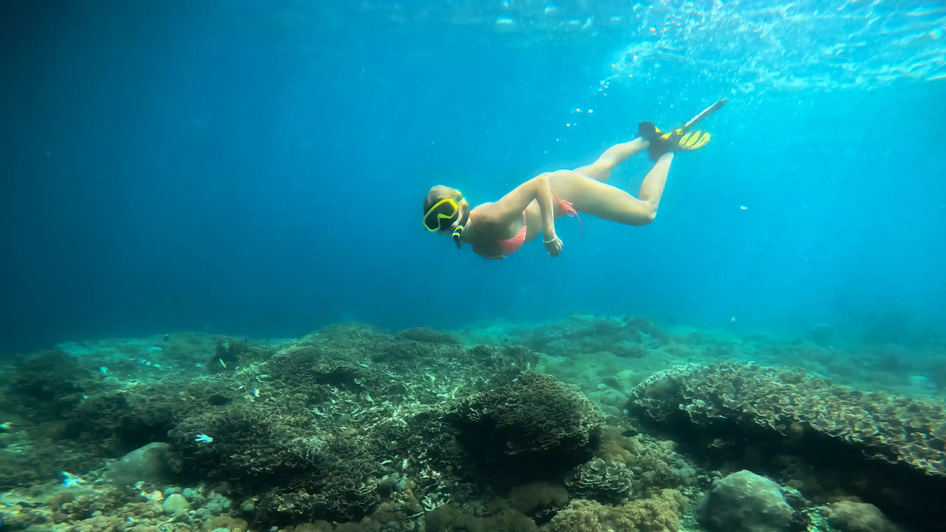 Snorkeling in Nusa Penida | Underwater Photography in Bali | Juara Production