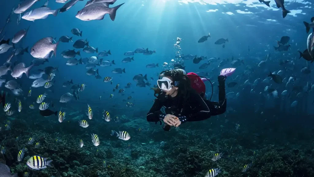 Snorkeling in Raja Ampat | Juara Production