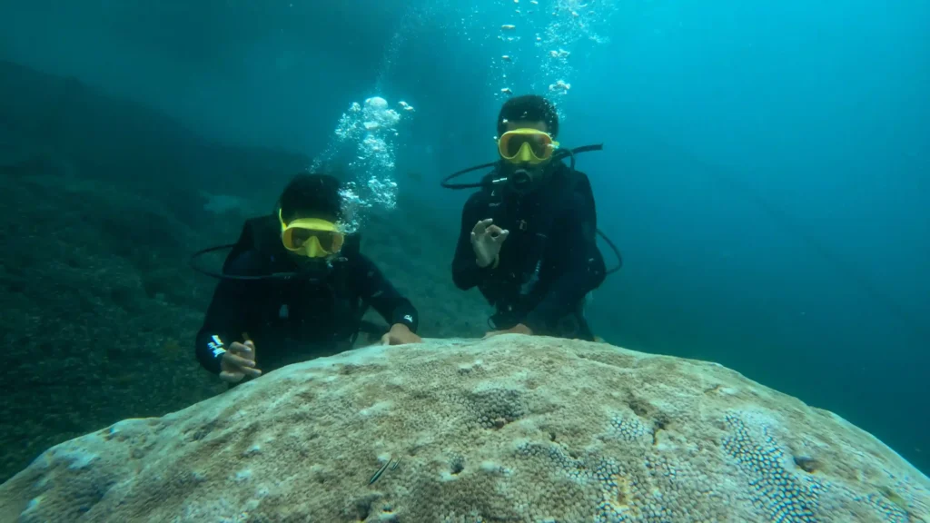 Underwater Photography in Bali | Juara Production